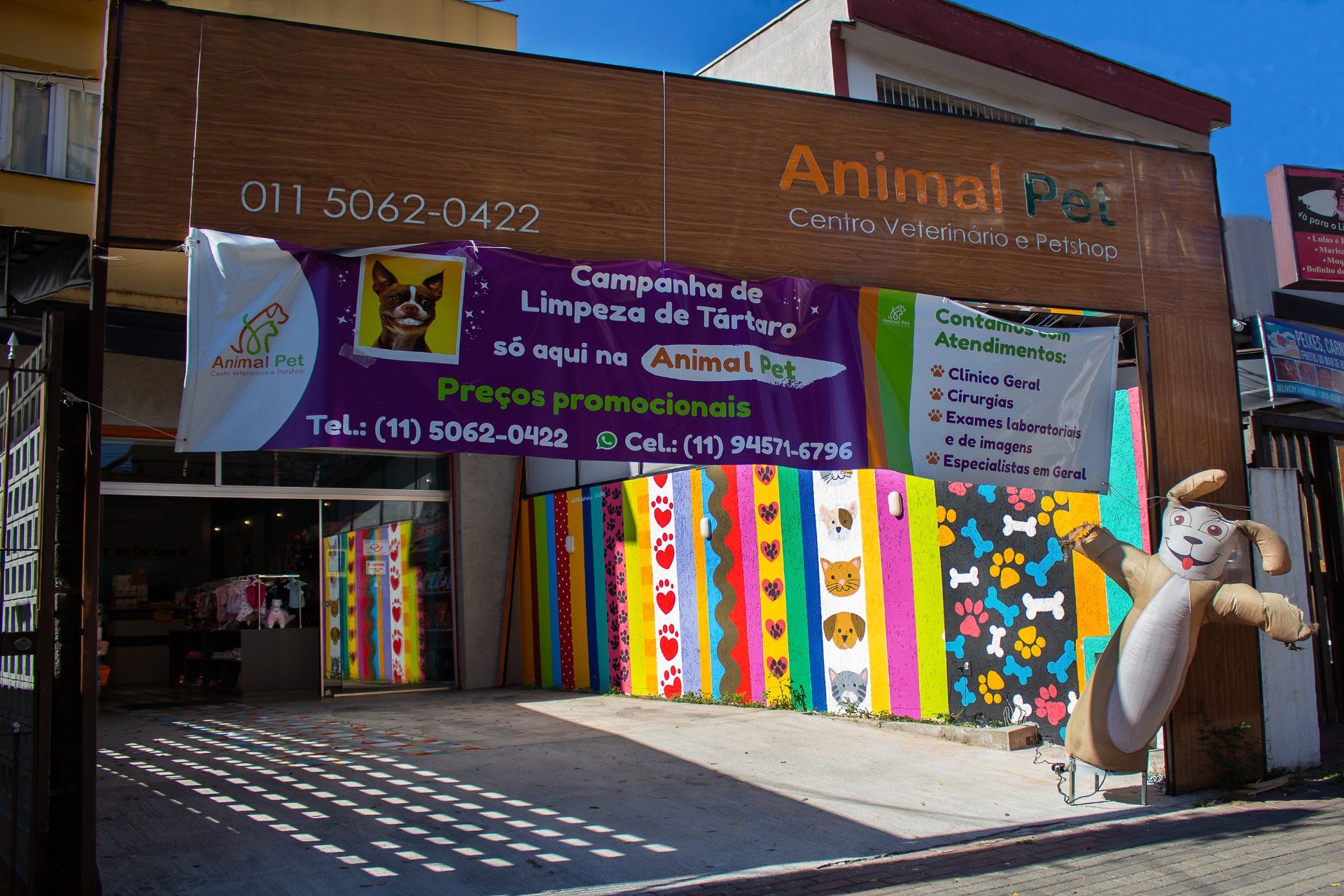 Animal Pet - Cursino