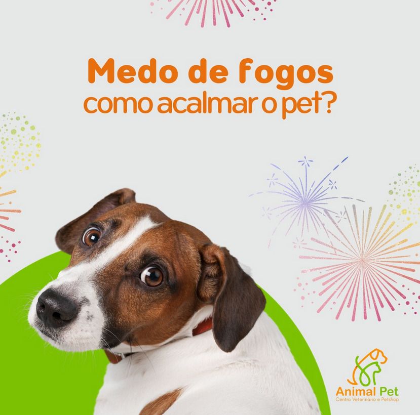 Post @animalpetcursino 1